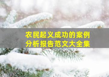 农民起义成功的案例分析报告范文大全集