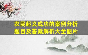 农民起义成功的案例分析题目及答案解析大全图片