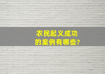 农民起义成功的案例有哪些?