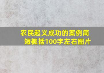 农民起义成功的案例简短概括100字左右图片