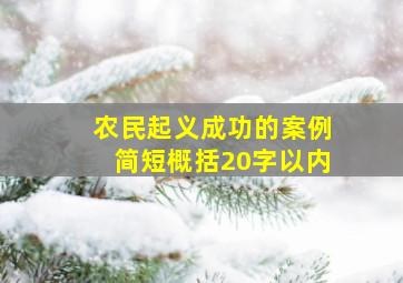 农民起义成功的案例简短概括20字以内