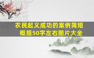 农民起义成功的案例简短概括50字左右图片大全