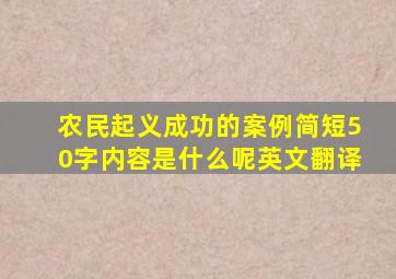 农民起义成功的案例简短50字内容是什么呢英文翻译