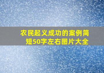 农民起义成功的案例简短50字左右图片大全