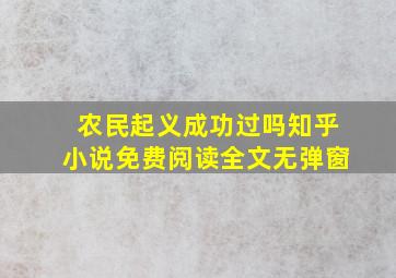 农民起义成功过吗知乎小说免费阅读全文无弹窗