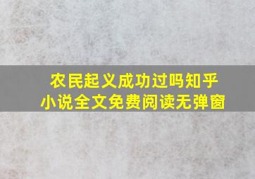 农民起义成功过吗知乎小说全文免费阅读无弹窗