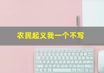 农民起义我一个不写