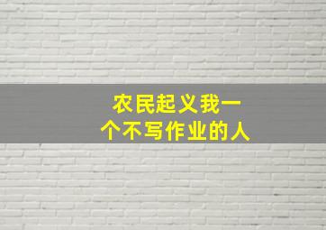 农民起义我一个不写作业的人