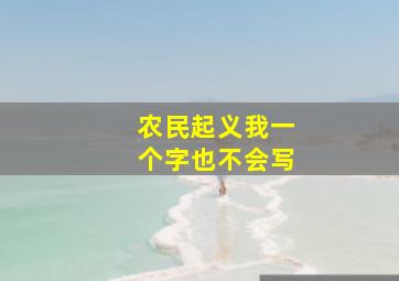 农民起义我一个字也不会写