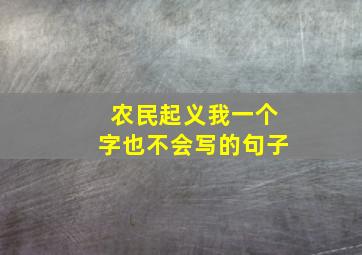 农民起义我一个字也不会写的句子