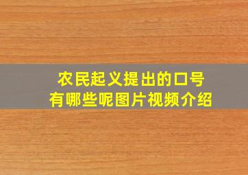 农民起义提出的口号有哪些呢图片视频介绍