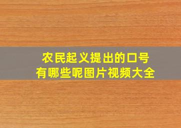 农民起义提出的口号有哪些呢图片视频大全