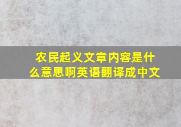 农民起义文章内容是什么意思啊英语翻译成中文