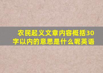 农民起义文章内容概括30字以内的意思是什么呢英语