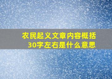 农民起义文章内容概括30字左右是什么意思