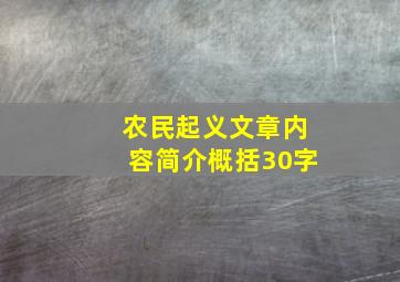 农民起义文章内容简介概括30字