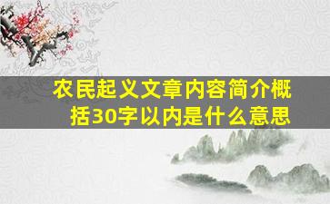 农民起义文章内容简介概括30字以内是什么意思