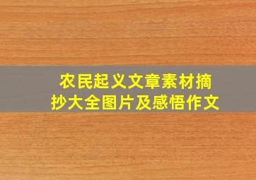 农民起义文章素材摘抄大全图片及感悟作文