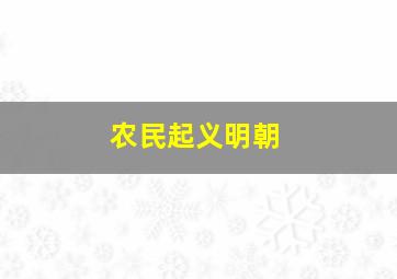 农民起义明朝