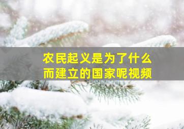 农民起义是为了什么而建立的国家呢视频