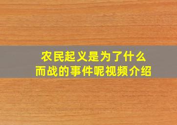 农民起义是为了什么而战的事件呢视频介绍