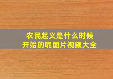 农民起义是什么时候开始的呢图片视频大全