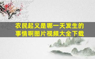 农民起义是哪一天发生的事情啊图片视频大全下载