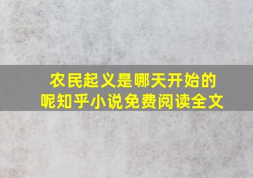 农民起义是哪天开始的呢知乎小说免费阅读全文