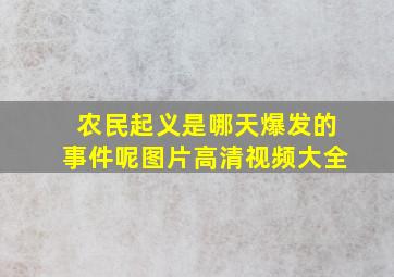 农民起义是哪天爆发的事件呢图片高清视频大全