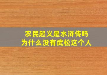 农民起义是水浒传吗为什么没有武松这个人