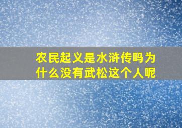 农民起义是水浒传吗为什么没有武松这个人呢