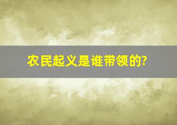 农民起义是谁带领的?