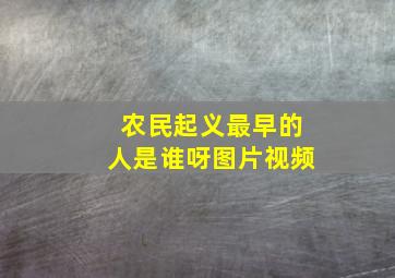 农民起义最早的人是谁呀图片视频