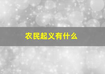 农民起义有什么