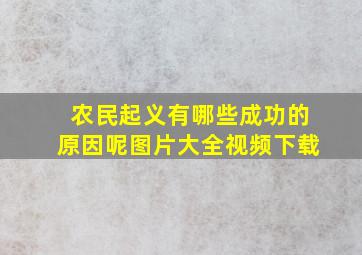 农民起义有哪些成功的原因呢图片大全视频下载