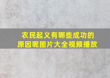 农民起义有哪些成功的原因呢图片大全视频播放