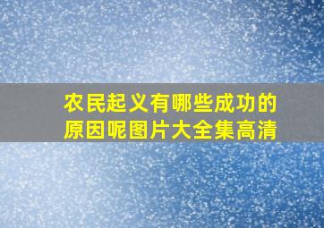 农民起义有哪些成功的原因呢图片大全集高清