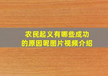 农民起义有哪些成功的原因呢图片视频介绍