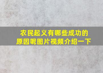 农民起义有哪些成功的原因呢图片视频介绍一下