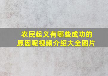 农民起义有哪些成功的原因呢视频介绍大全图片