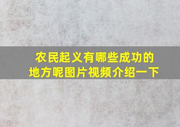 农民起义有哪些成功的地方呢图片视频介绍一下