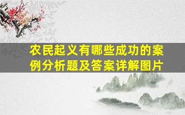 农民起义有哪些成功的案例分析题及答案详解图片