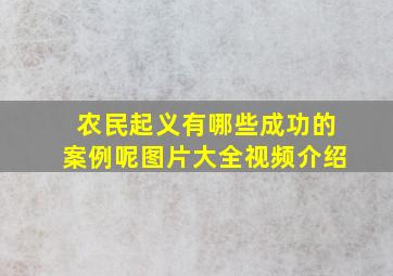 农民起义有哪些成功的案例呢图片大全视频介绍