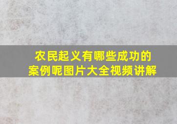 农民起义有哪些成功的案例呢图片大全视频讲解