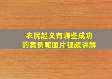 农民起义有哪些成功的案例呢图片视频讲解