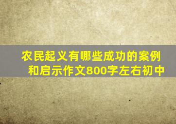 农民起义有哪些成功的案例和启示作文800字左右初中