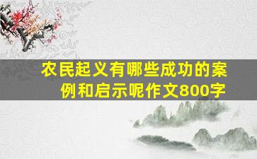 农民起义有哪些成功的案例和启示呢作文800字