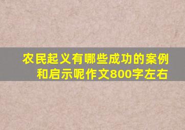 农民起义有哪些成功的案例和启示呢作文800字左右