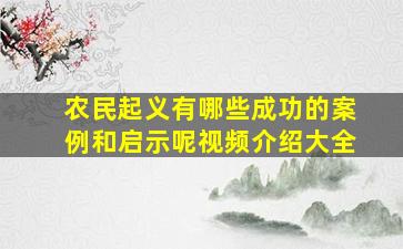 农民起义有哪些成功的案例和启示呢视频介绍大全