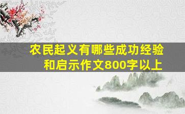 农民起义有哪些成功经验和启示作文800字以上